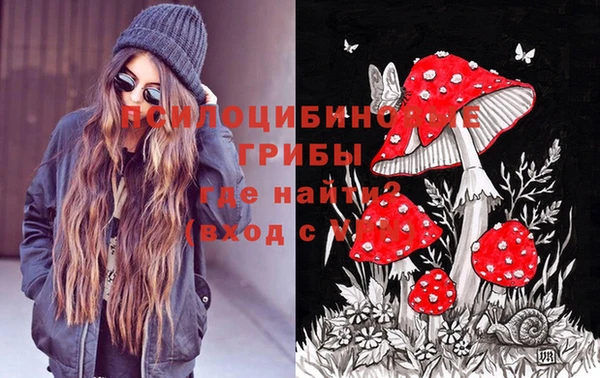 PSILOCYBIN Алексеевка
