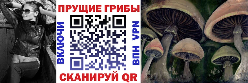 хочу наркоту  Грайворон  Псилоцибиновые грибы прущие грибы 